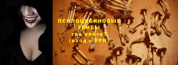 винт Надым