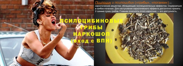 винт Надым