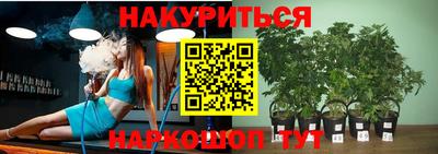 МДПВ Будённовск