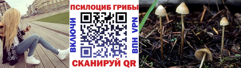 Галлюциногенные грибы Cubensis Миасс