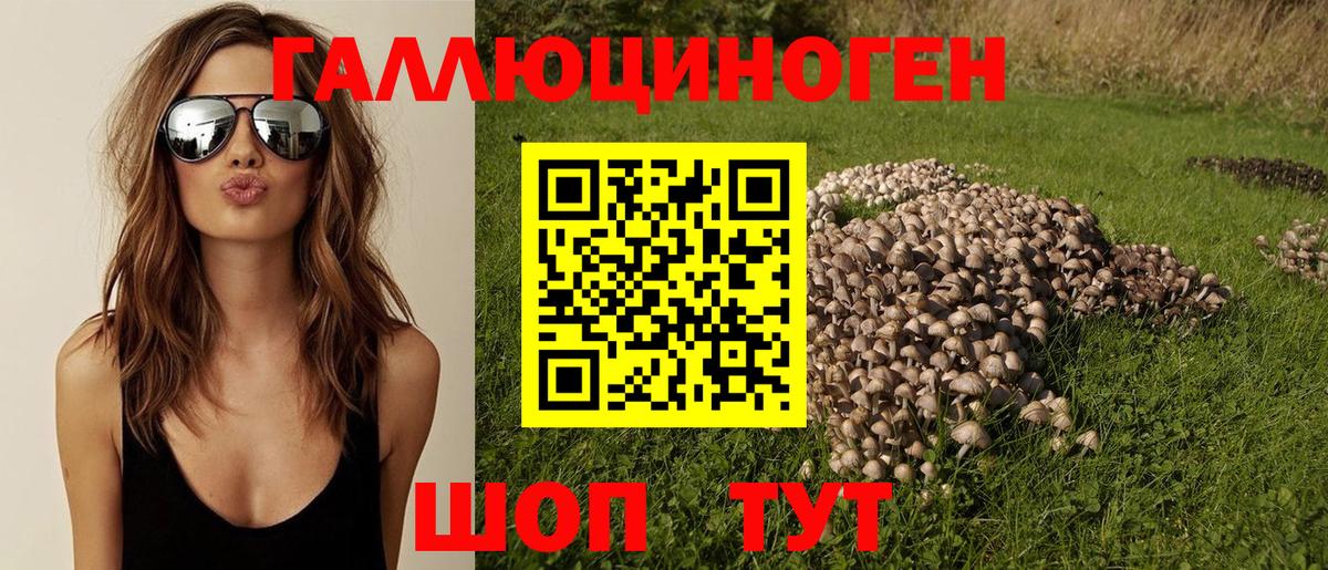 Галлюциногенные грибы MAGIC MUSHROOMS  Вход с VPN  Миасс 