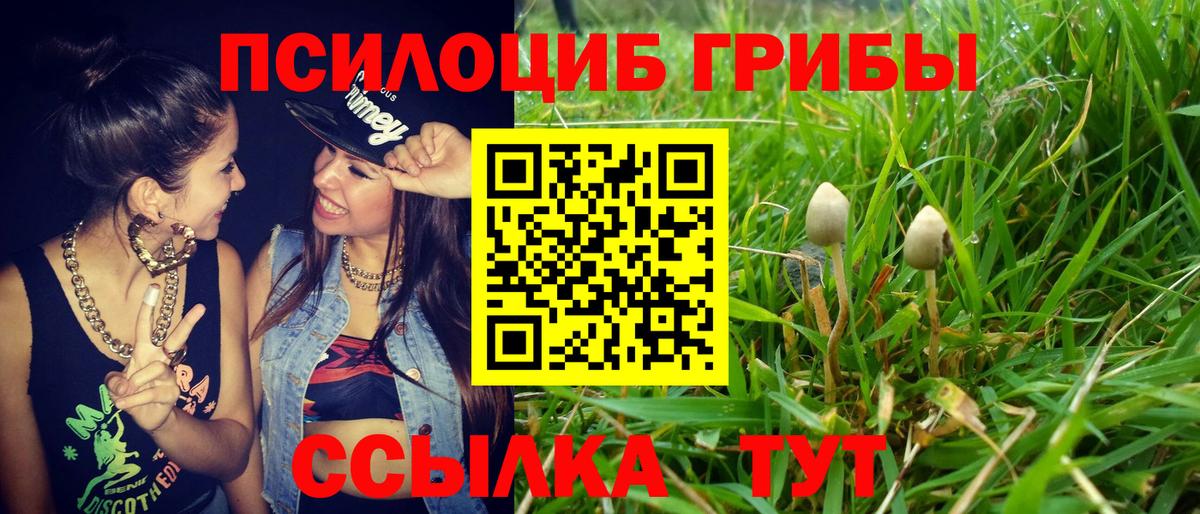 Галлюциногенные грибы Psilocybe Миасс