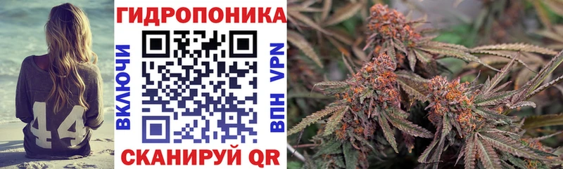 МАРИХУАНА планчик  МЕГА ссылка  Миасс 